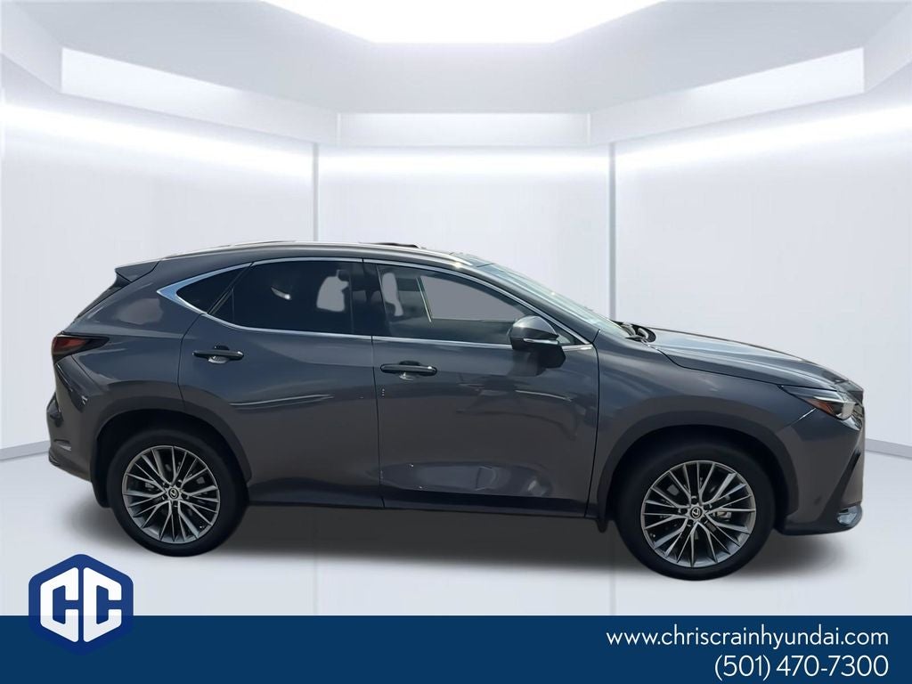 2023 Lexus NX 350 Luxury
