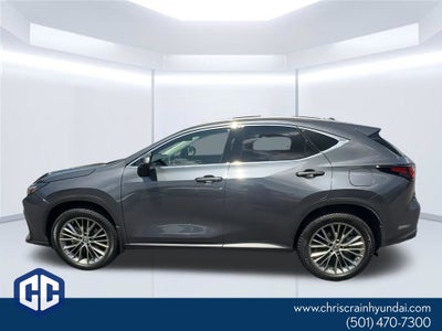 2023 Lexus NX 350 Luxury