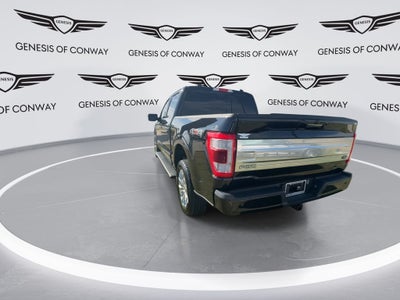 2023 Ford F-150 Platinum