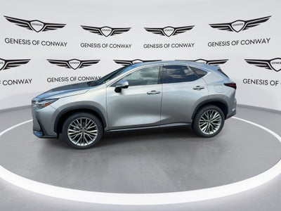 2022 Lexus NX 350h Luxury